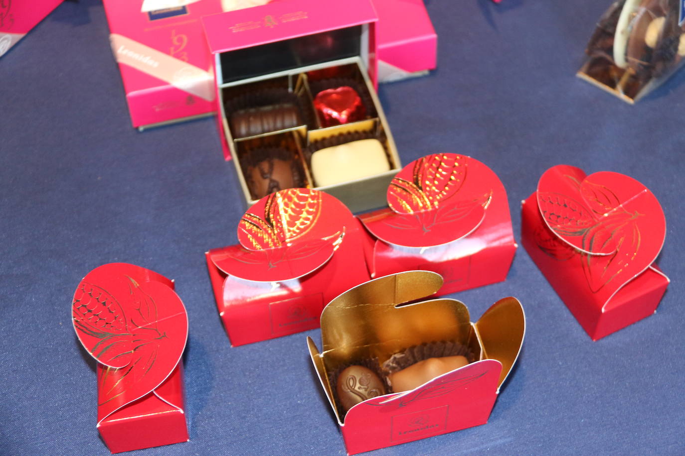 Fotos: León se va de boda