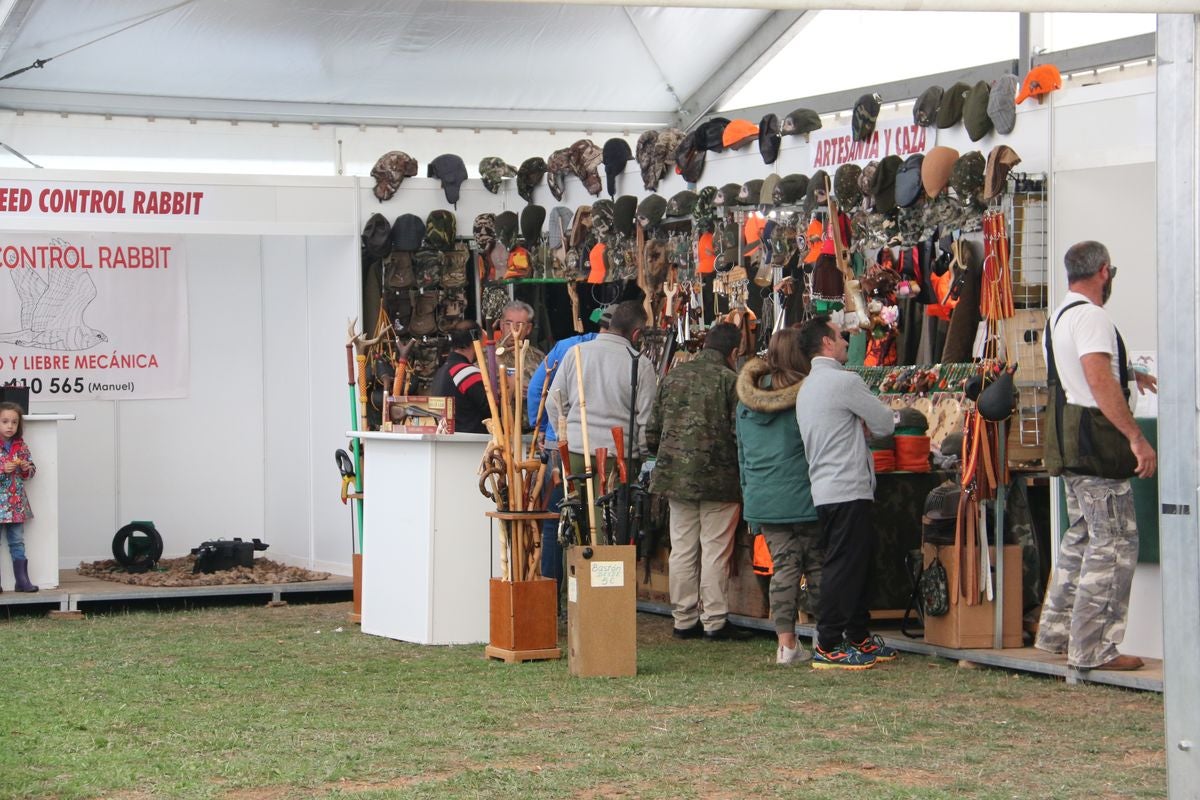 Fotos: La cetrería internacional se cita en La Virgen del Camino
