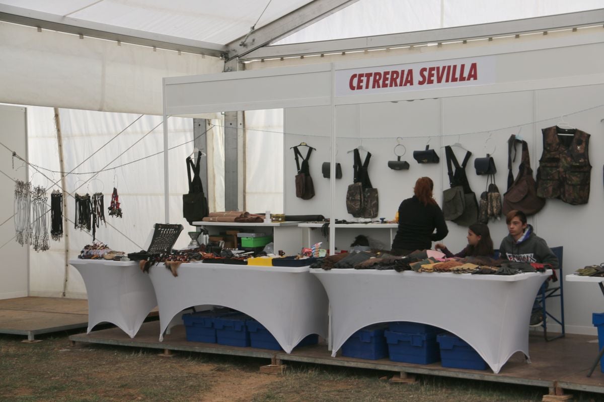 Fotos: La cetrería internacional se cita en La Virgen del Camino