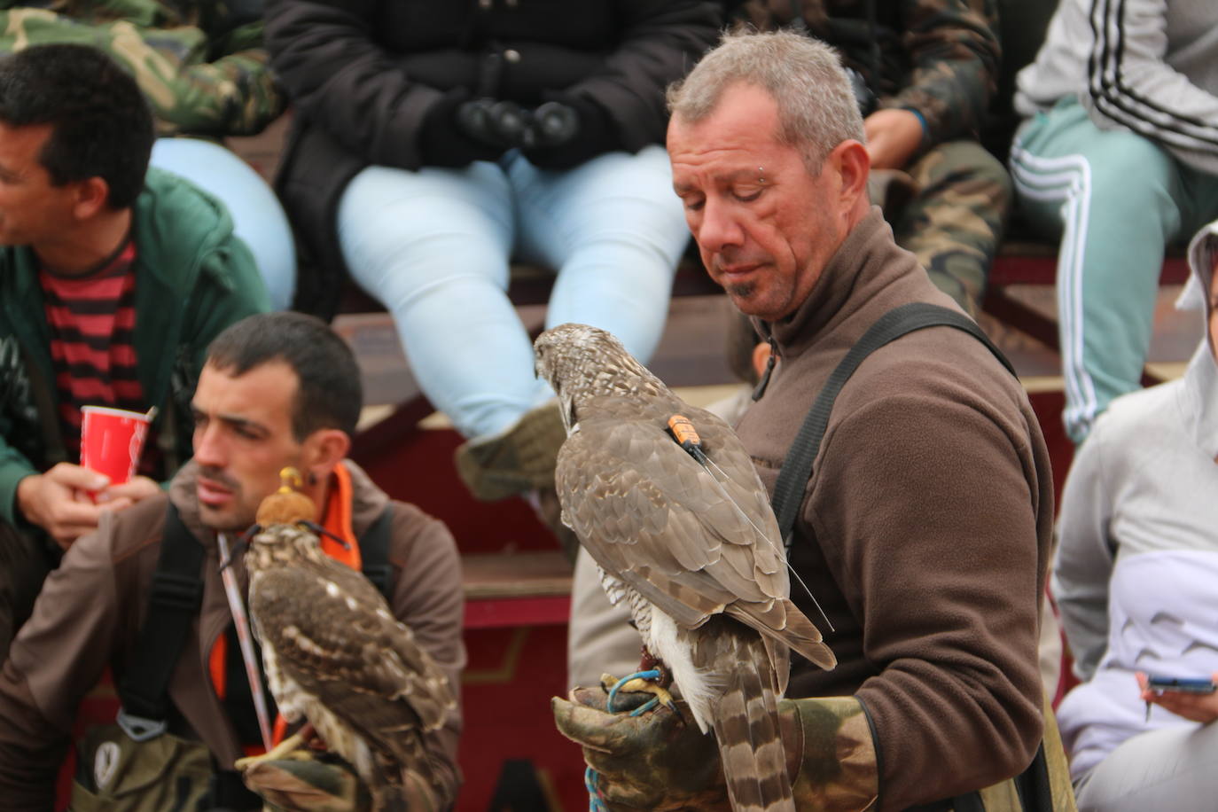 Fotos: Intensas finales en las XXV Jornadas Internacionales de Cetrería