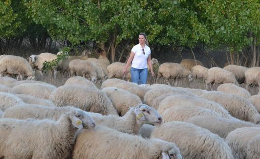 Teresa y su rebaño.