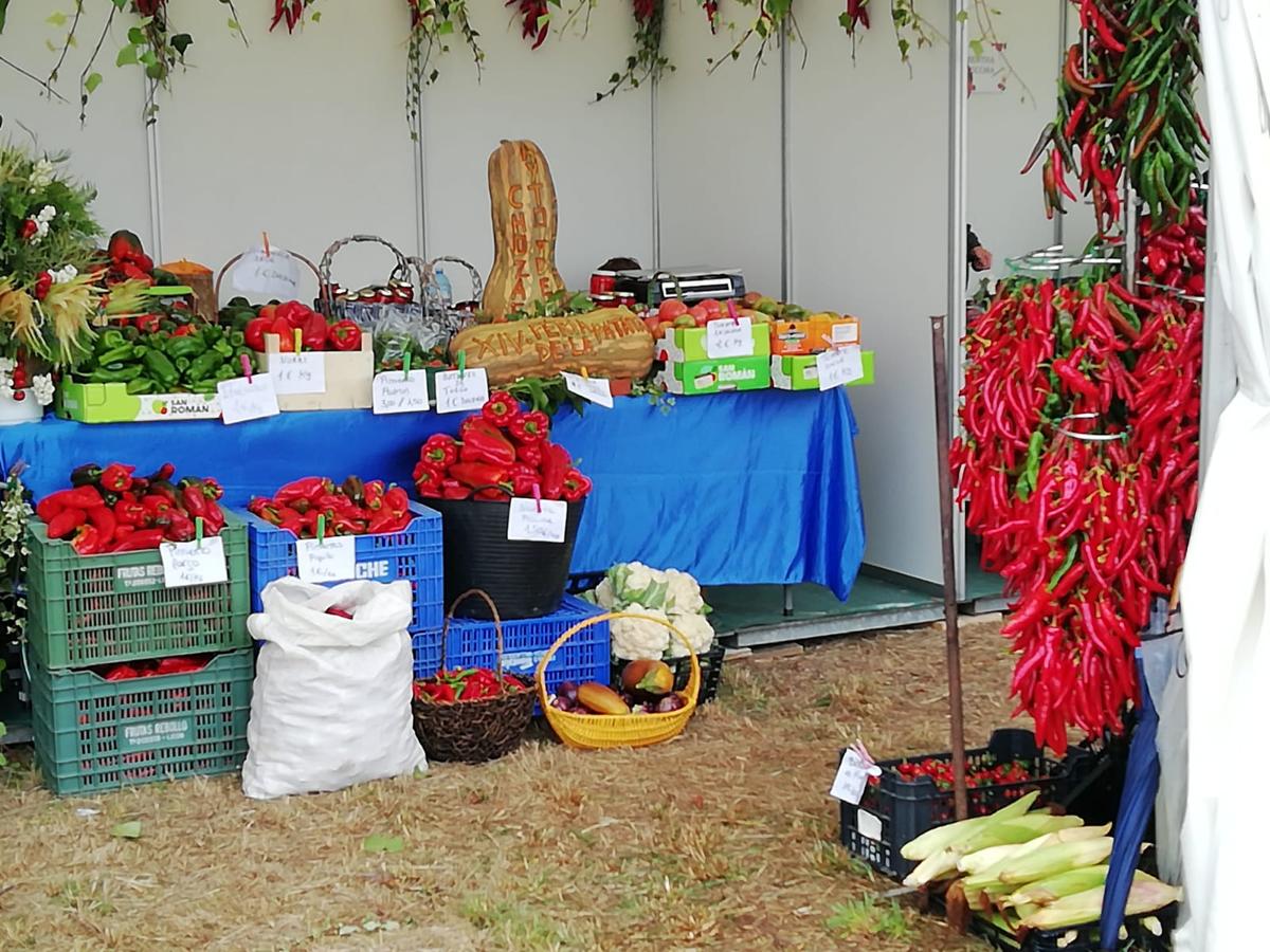 Fotos: Feria de la patata en Chozas de Abajo