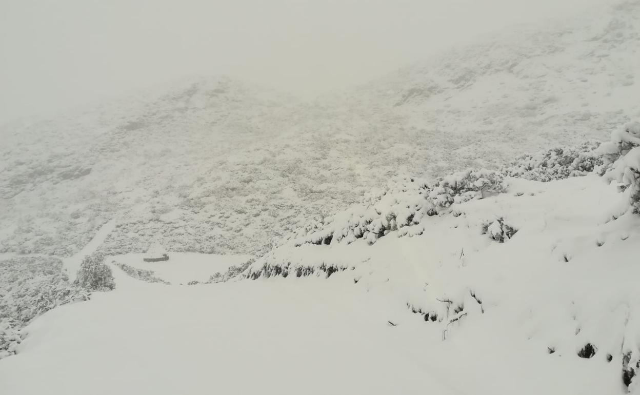 Nieve en Remoña, en la vertiente leonesa de los Picos de Europa. 