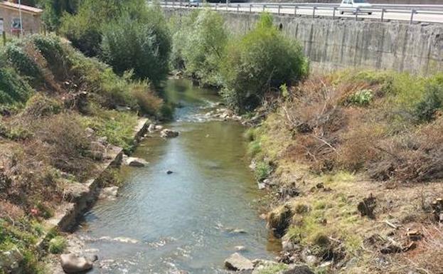 El río Bernesga a su paso por Ciñera. 