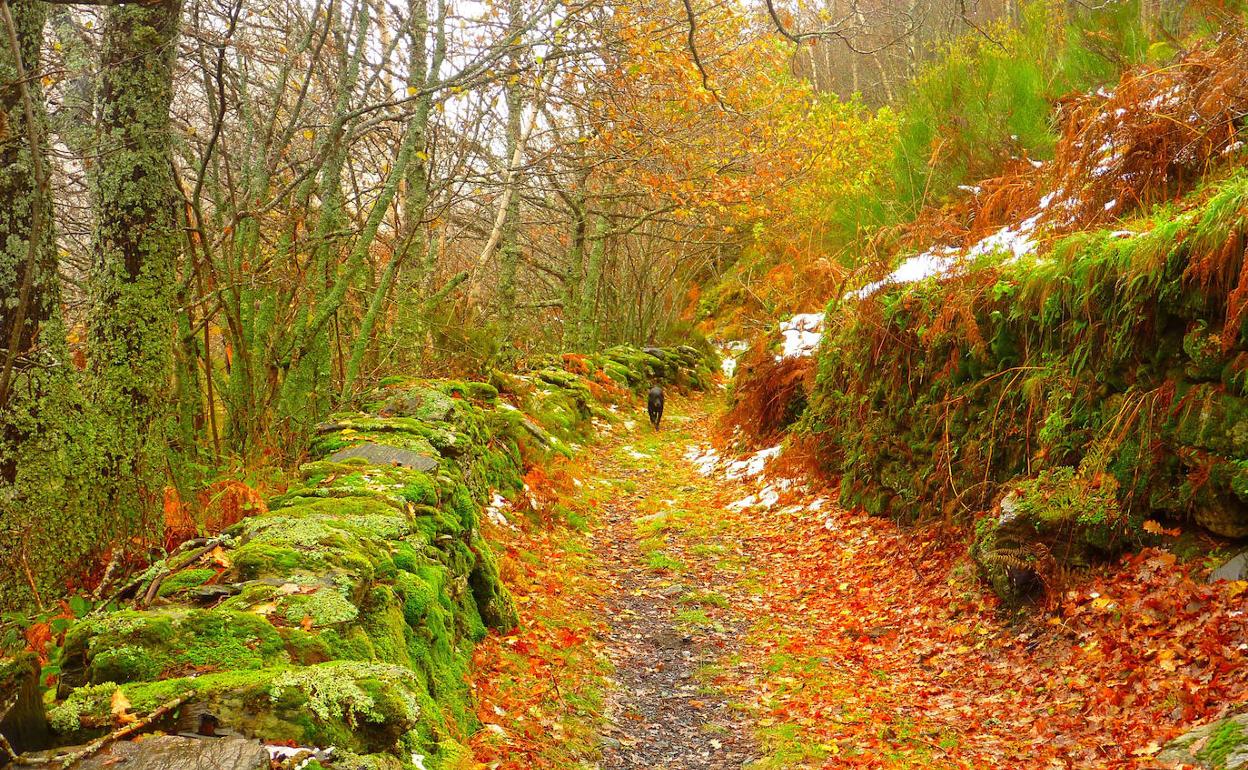 'Guímara, otoño', imagen ganadora del II Concurso de fotografía de la Reserva de la Biosfera de los Ancares Leoneses, obra de Laura Martín.