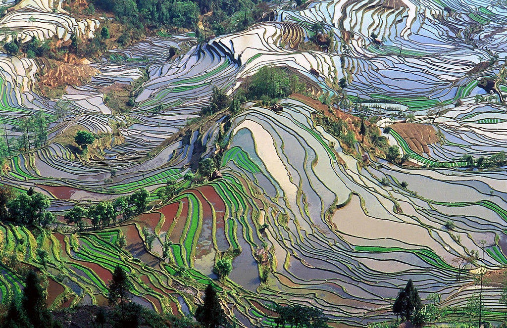 Yuanyang (China) | Estas impactantes terrazas de arroz existen desde al menos 1.300 años y, por el clima, sólo permiten una cosecha anual. Su increíble y colorido entorno se ha preservado a lo largo de los siglos gracias a su remota localización.