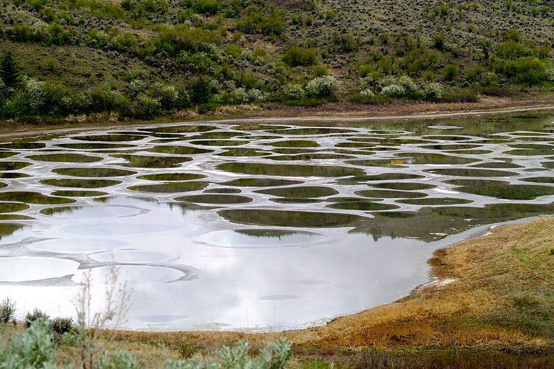 Spotted Lake (Canadá) | Sus formas geométricas cambian de color por su riqueza mineral y antiguamente era considerado como un lugar con propiedades terapéuticas.