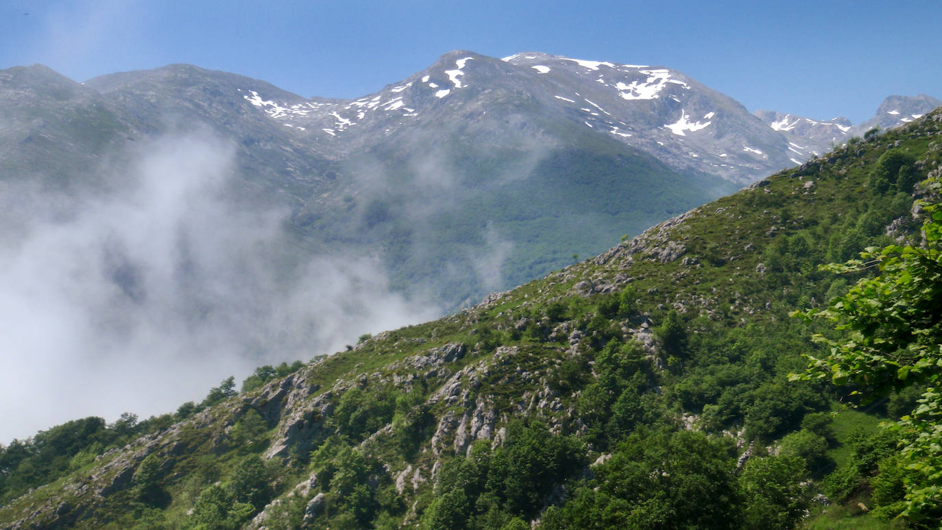 El ascenso a la localidad cántabra ofrece un paiseje espectacular con vistas a los Picos de Europa. Una ruta con una gran pendiente pero perfecta para disfrutar. No te la pierdas