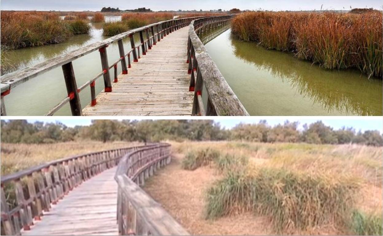 Las Tablas de Daimiel, antes y ahora. 