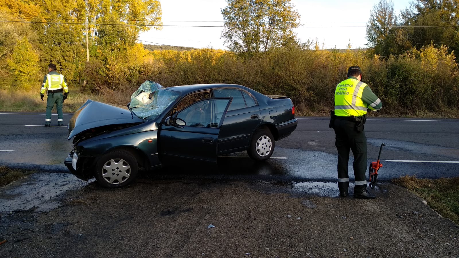 Dos personas han resultado heridas de gravedad tras una salida de vía del turismo en el que viajaban