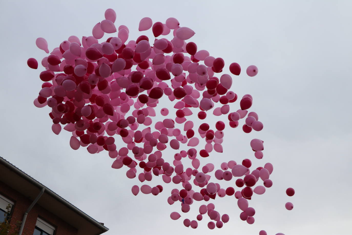 La ciudad de León acoge una nueva carrera de la lucha contra el cáncer de mama.