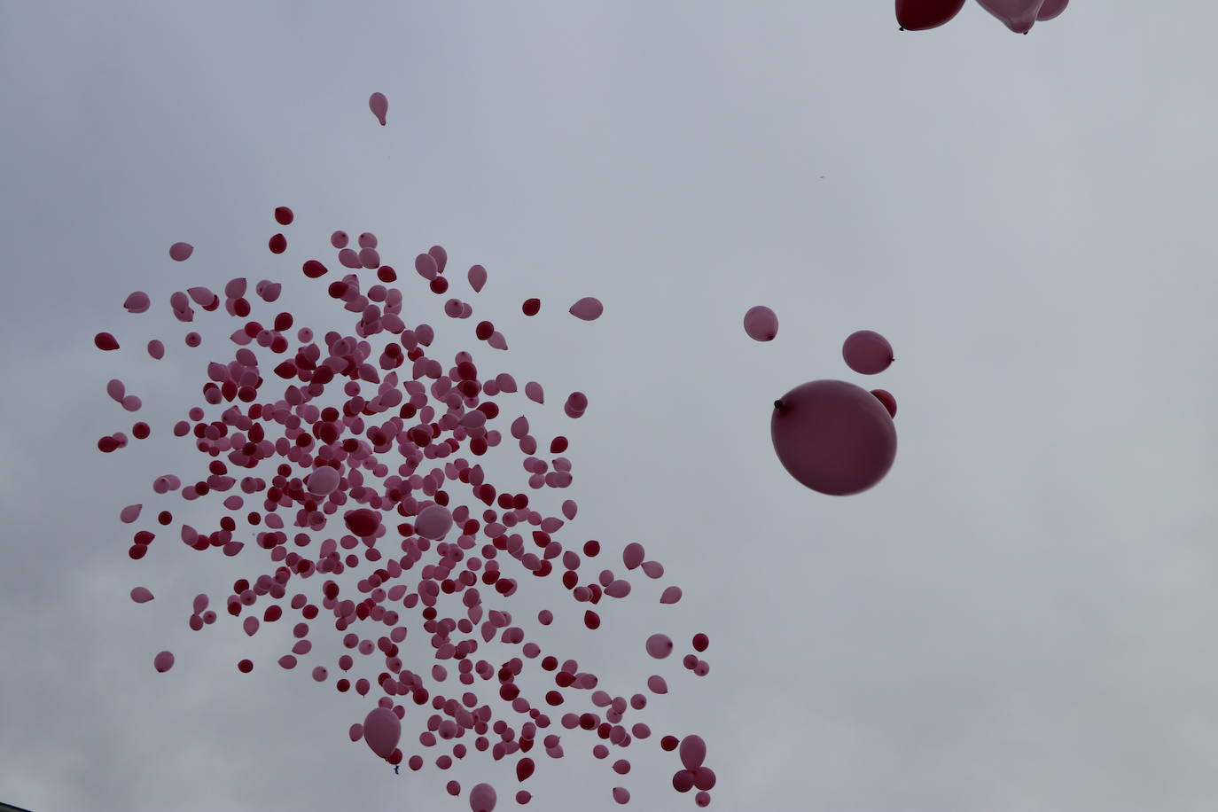 La ciudad de León acoge una nueva carrera de la lucha contra el cáncer de mama.