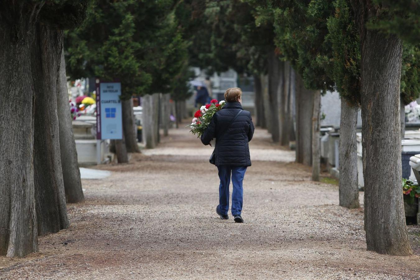 Fotos: Día de Todos los Santos en León