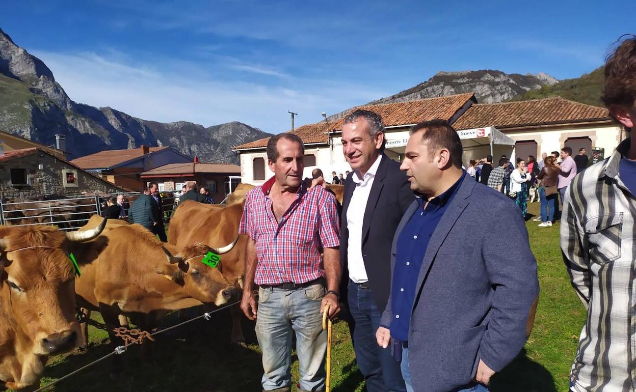 El PSOE denuncia las trabas de la Junta al sector ganadero y apuesta por medidas sostenibles sin perjuicio para los habitantes