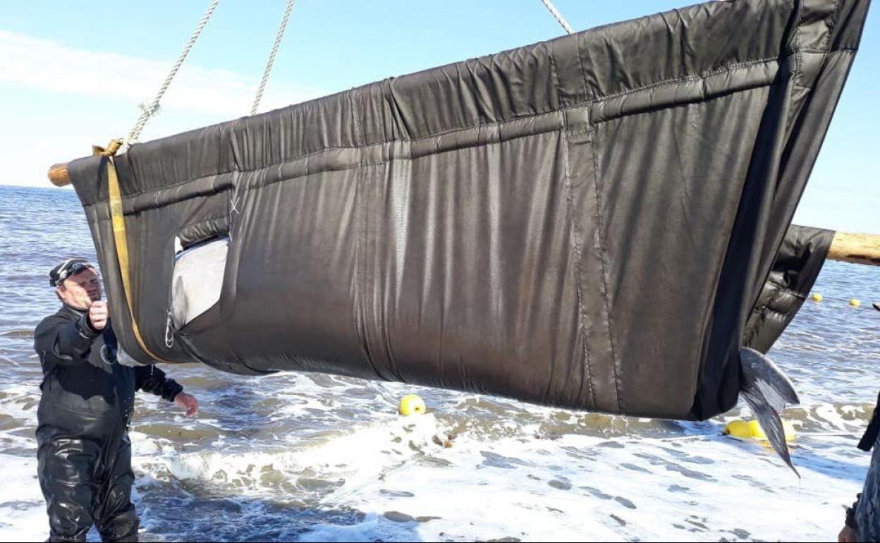 Rusia libera los cetáceos de la 'cárcel de ballenas'.