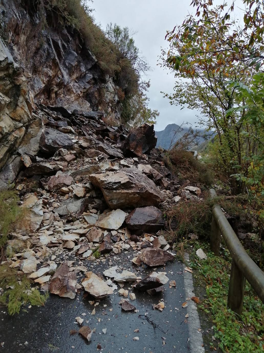 La nieve acumulada obliga a circular con cadenas en varios puertos de montaña y carreteras secundarias de la región. Además, las fuertes lluvias caídas estos días han provocado el corte de la carretera de San San Esteban de Cuñaba, en Peñamellera Baja, por un argayu.