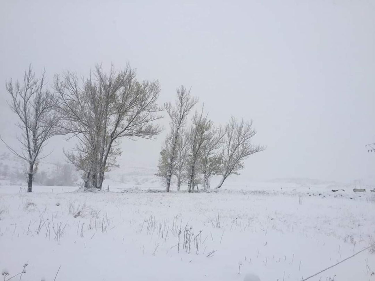 Fotos: La nieve llama a la puerta