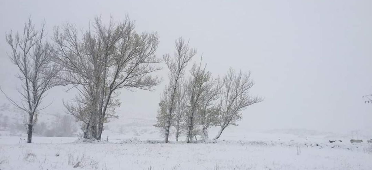 Fotos: La nieve llama a la puerta