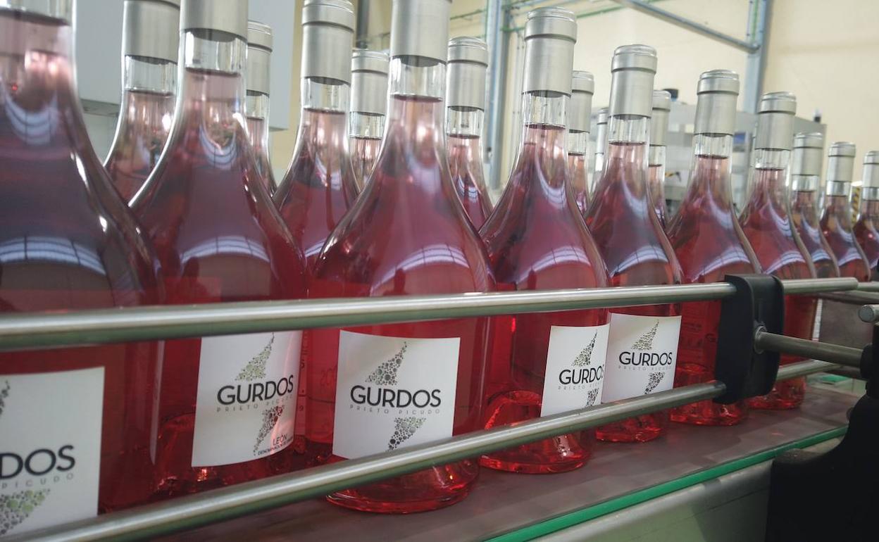 Gordonzello inicia el embotellado de su Prieto Picudo más conocido, el 'Gurdos'