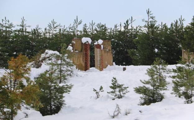 Galería. La nieve vuelve a cubrir de blanco León.