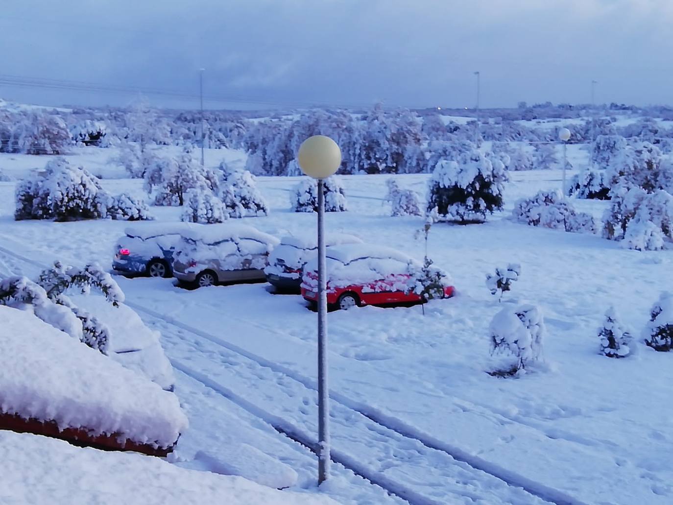 Fotos: La provincia se tiñe de blanco