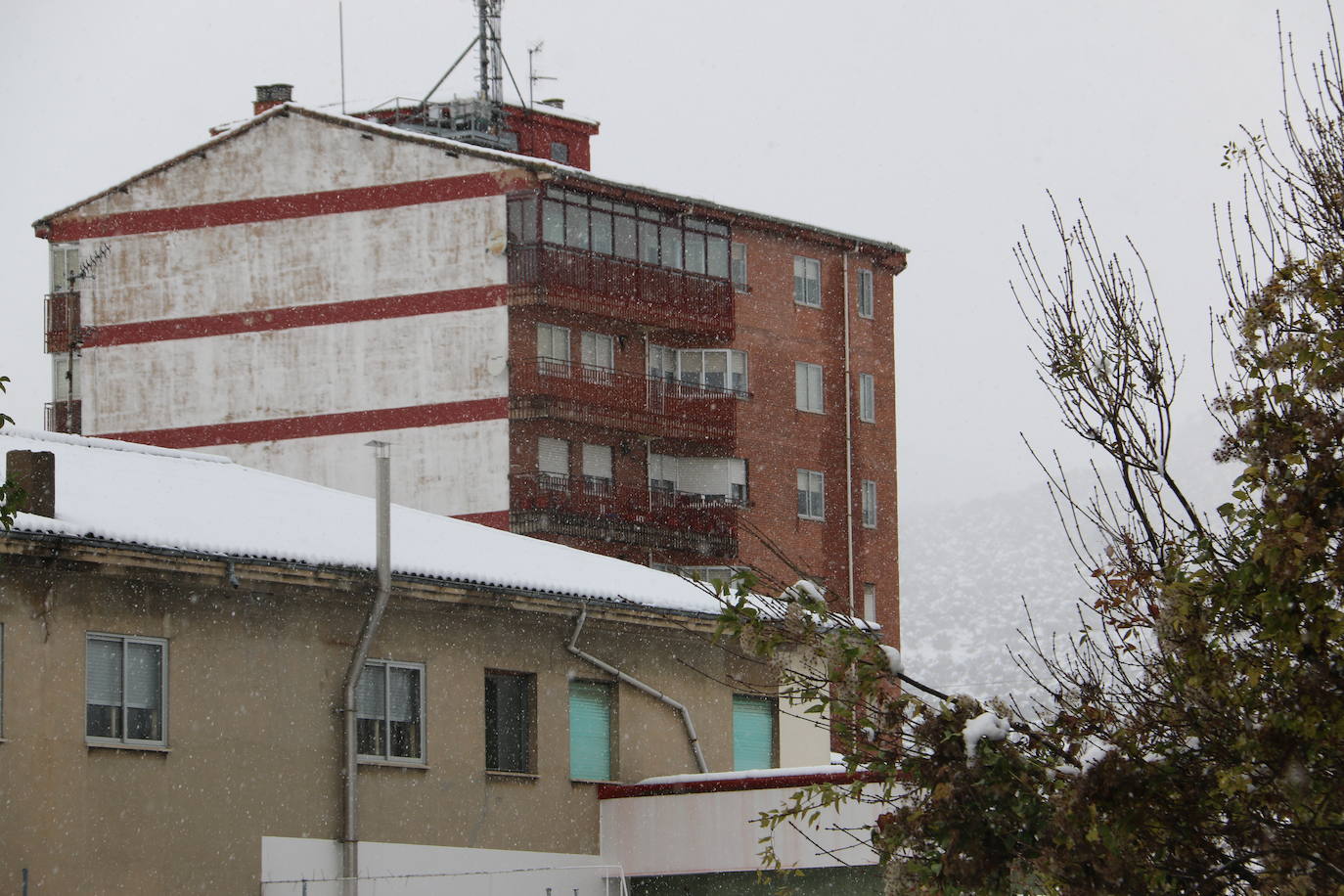 Fotos: León vuelve a convivir con la nieve