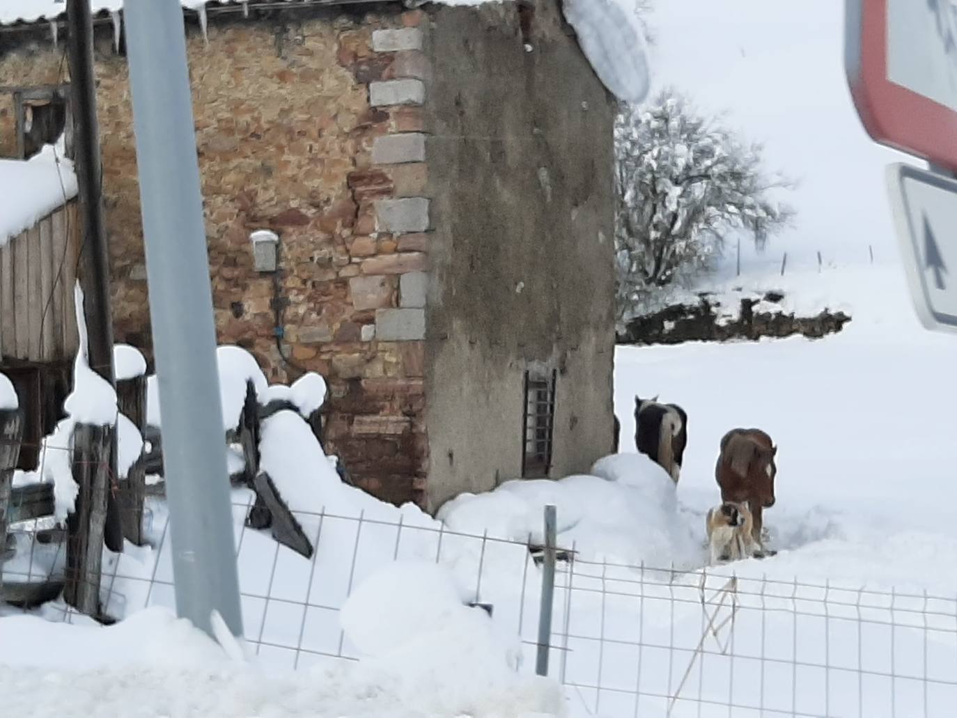 Fotos: Un paisaje invernal en León