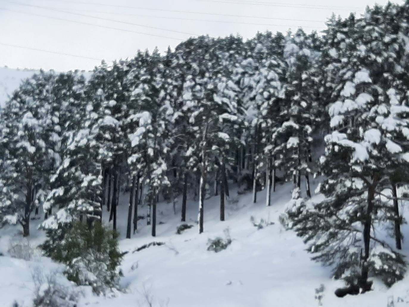 Fotos: Un paisaje invernal en León