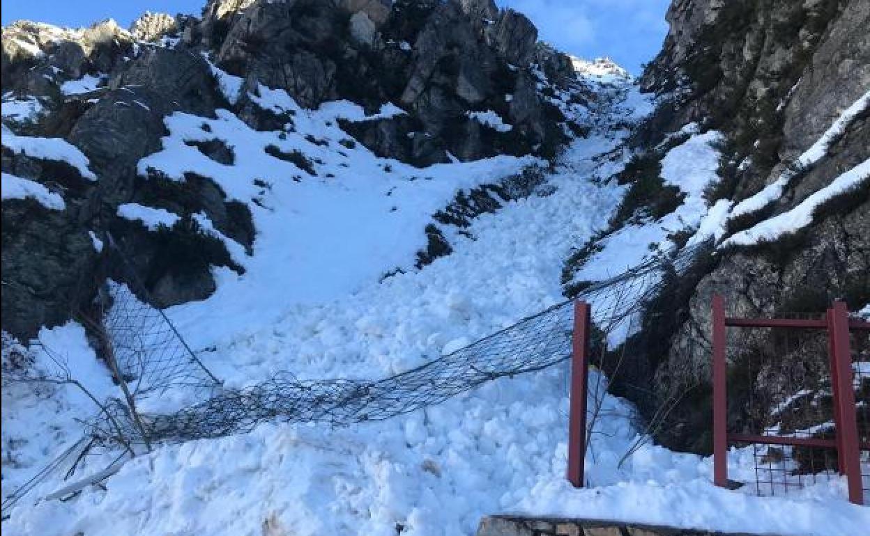 Una de las mallas que tiró el alud en la carretera de acceso al puerto de San Isidro.