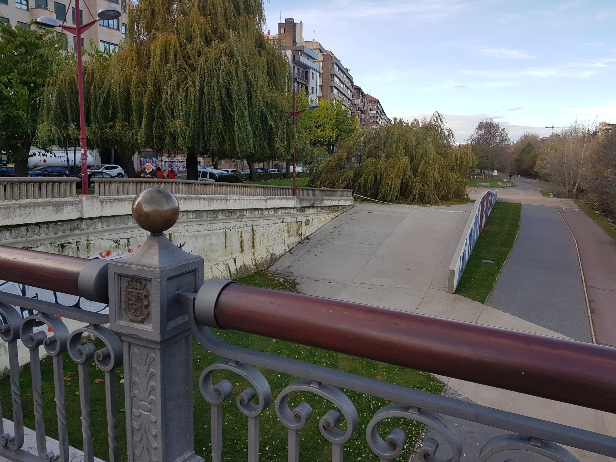 El intenso viento derriba un ejemplar de este árbol en pleno paseo del río Bernesga
