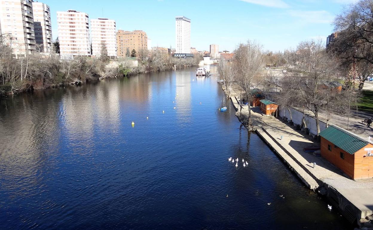 El río Pisuerga visto desde el puente de Poniente. 