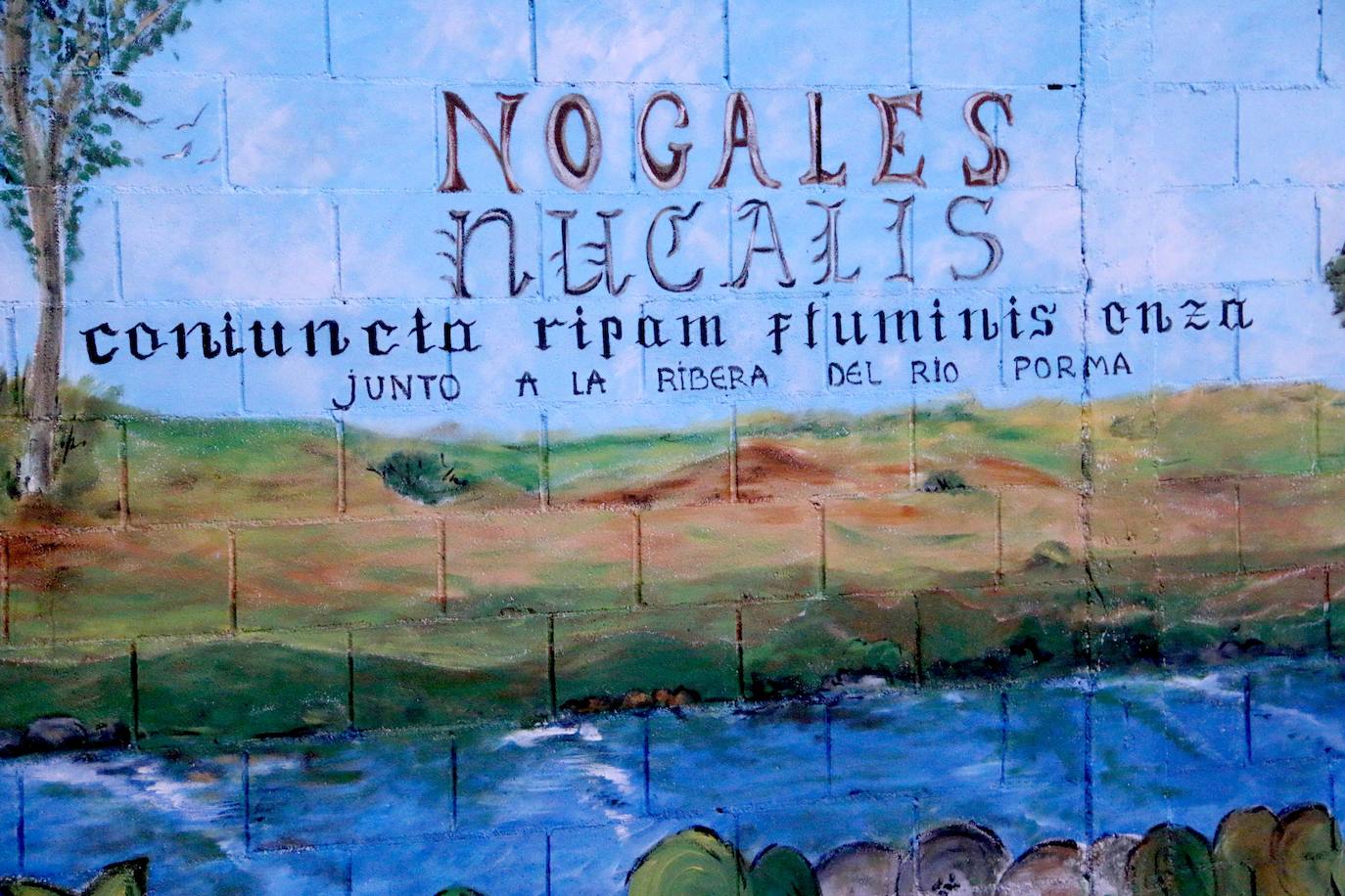 Fotos: Nogales estrena su mural