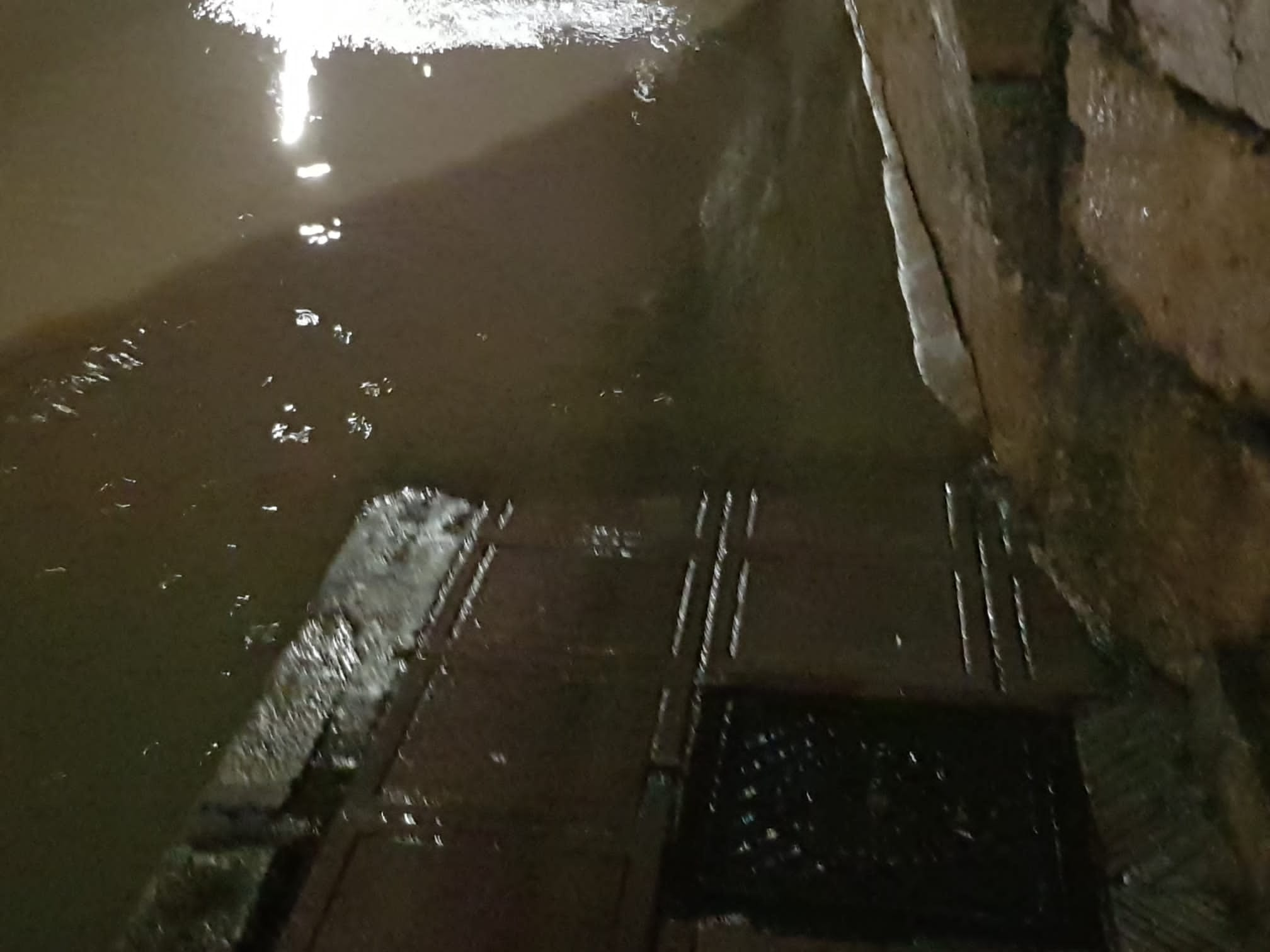 El caudal del Bernesga sobrepasa el cauce del río y obliga a cortar el Paseo de Salamanca en la capital