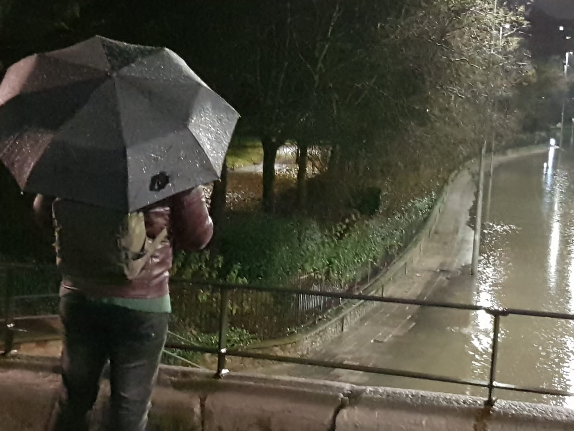 El caudal del Bernesga sobrepasa el cauce del río y obliga a cortar el Paseo de Salamanca en la capital