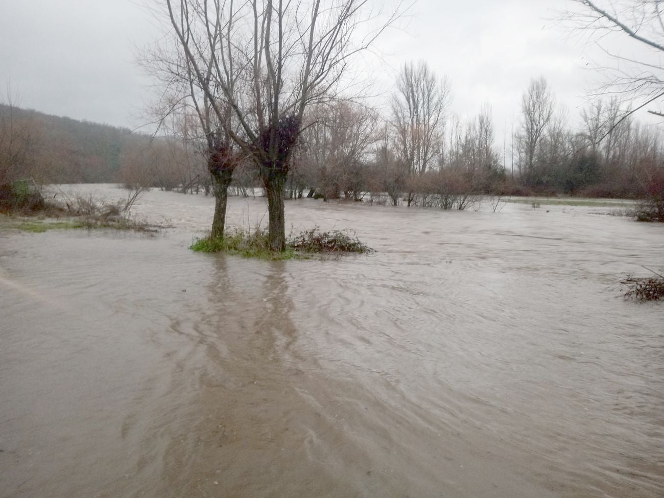 Localidades como Villaverde o Garrafe ven cómo las aguas del Torío inundan la zona tras la lluvia y el deshielo en las zonas de montaña