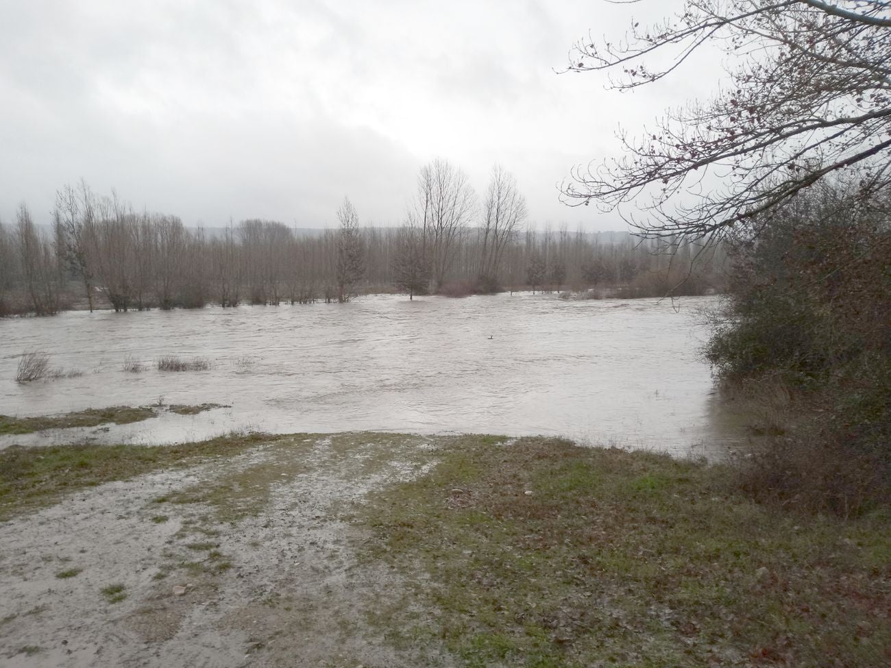 Localidades como Villaverde o Garrafe ven cómo las aguas del Torío inundan la zona tras la lluvia y el deshielo en las zonas de montaña