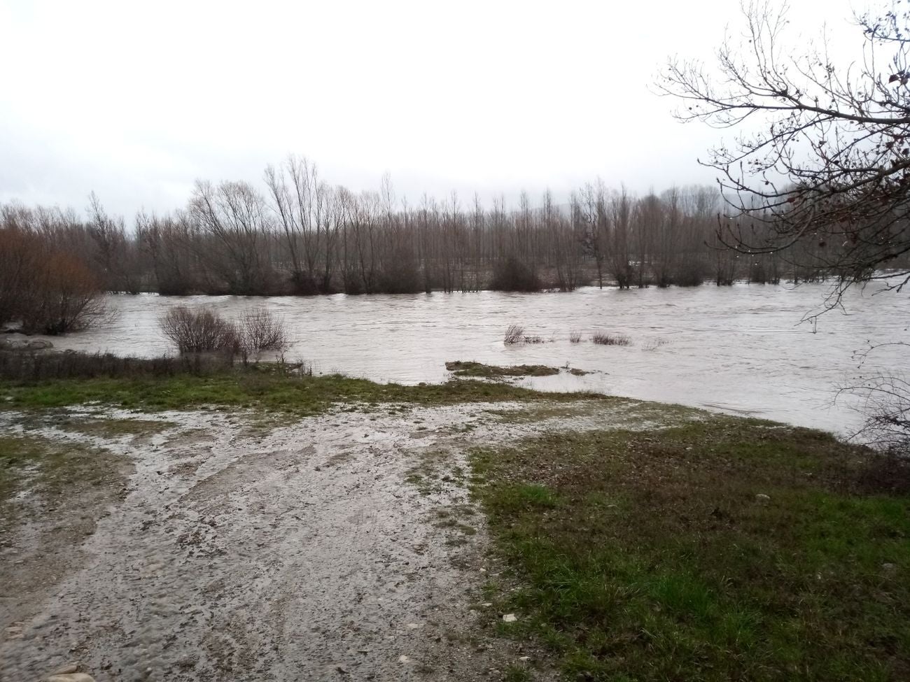 Localidades como Villaverde o Garrafe ven cómo las aguas del Torío inundan la zona tras la lluvia y el deshielo en las zonas de montaña