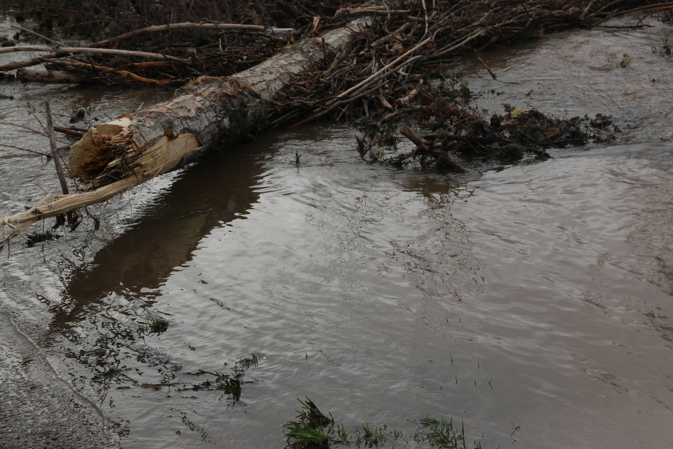 Fotos: Villaverde de Arriba, bajo el agua