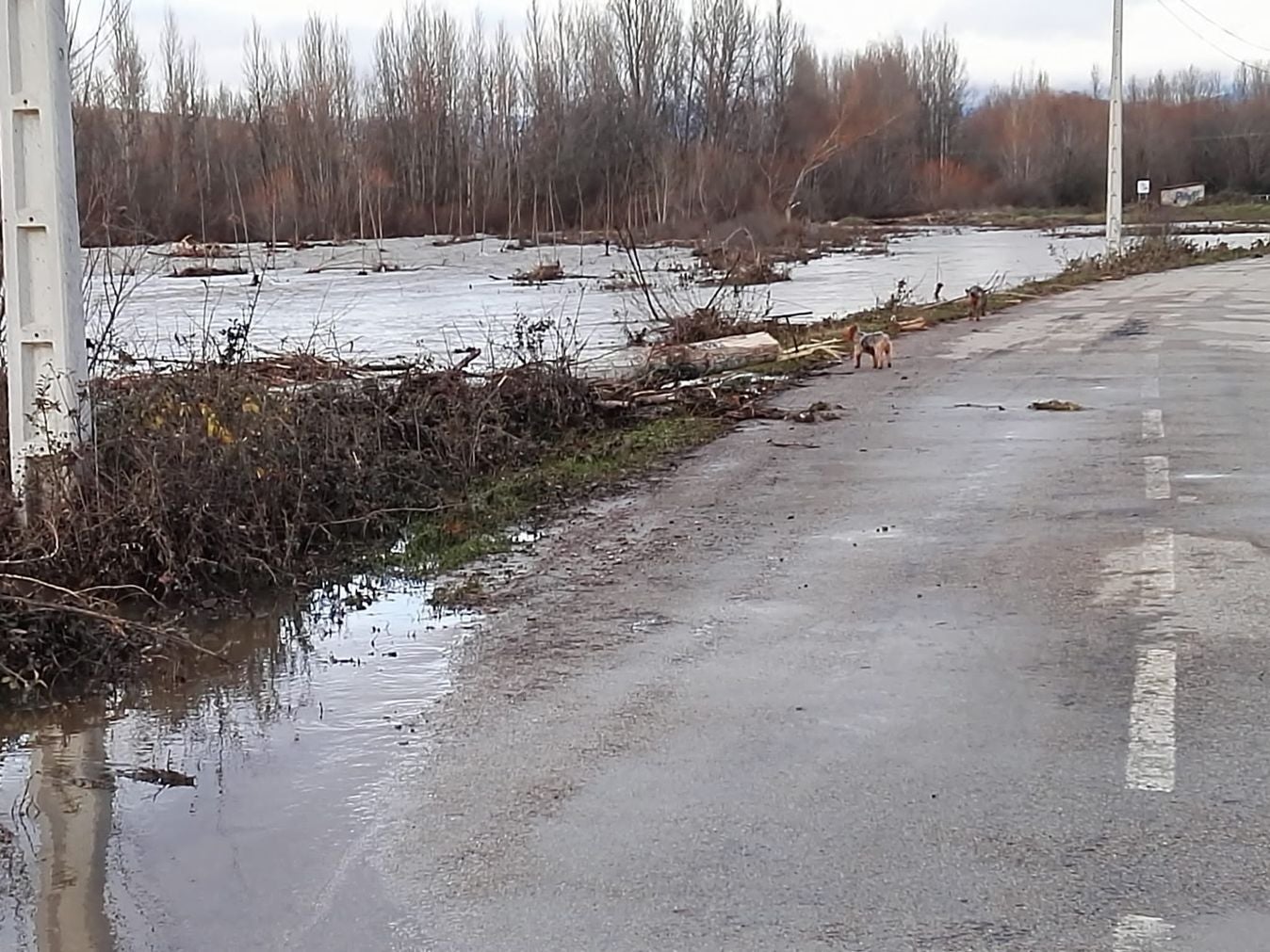 Imagen de lalocalidad de Ruiforco inundada por el agua.