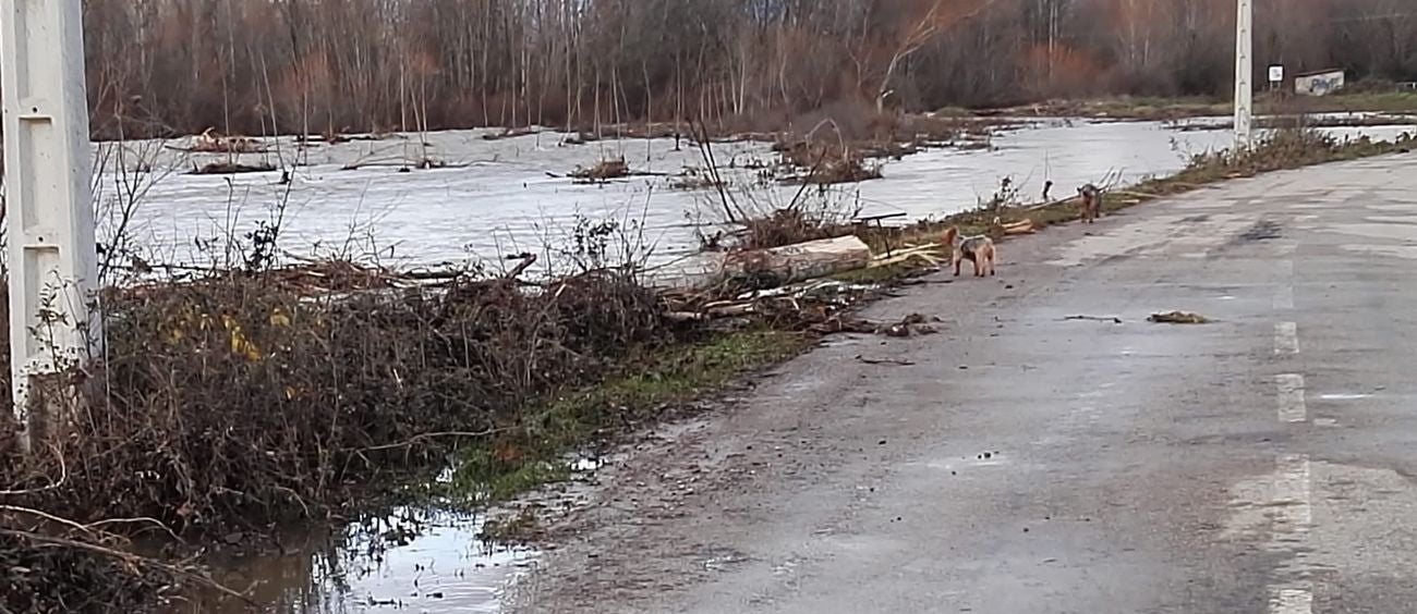 Imagen de lalocalidad de Ruiforco inundada por el agua.