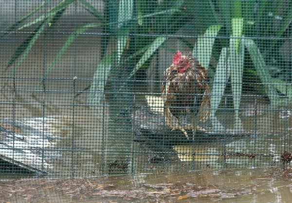 Fotos: Temporal de lluvia en El Bierzo