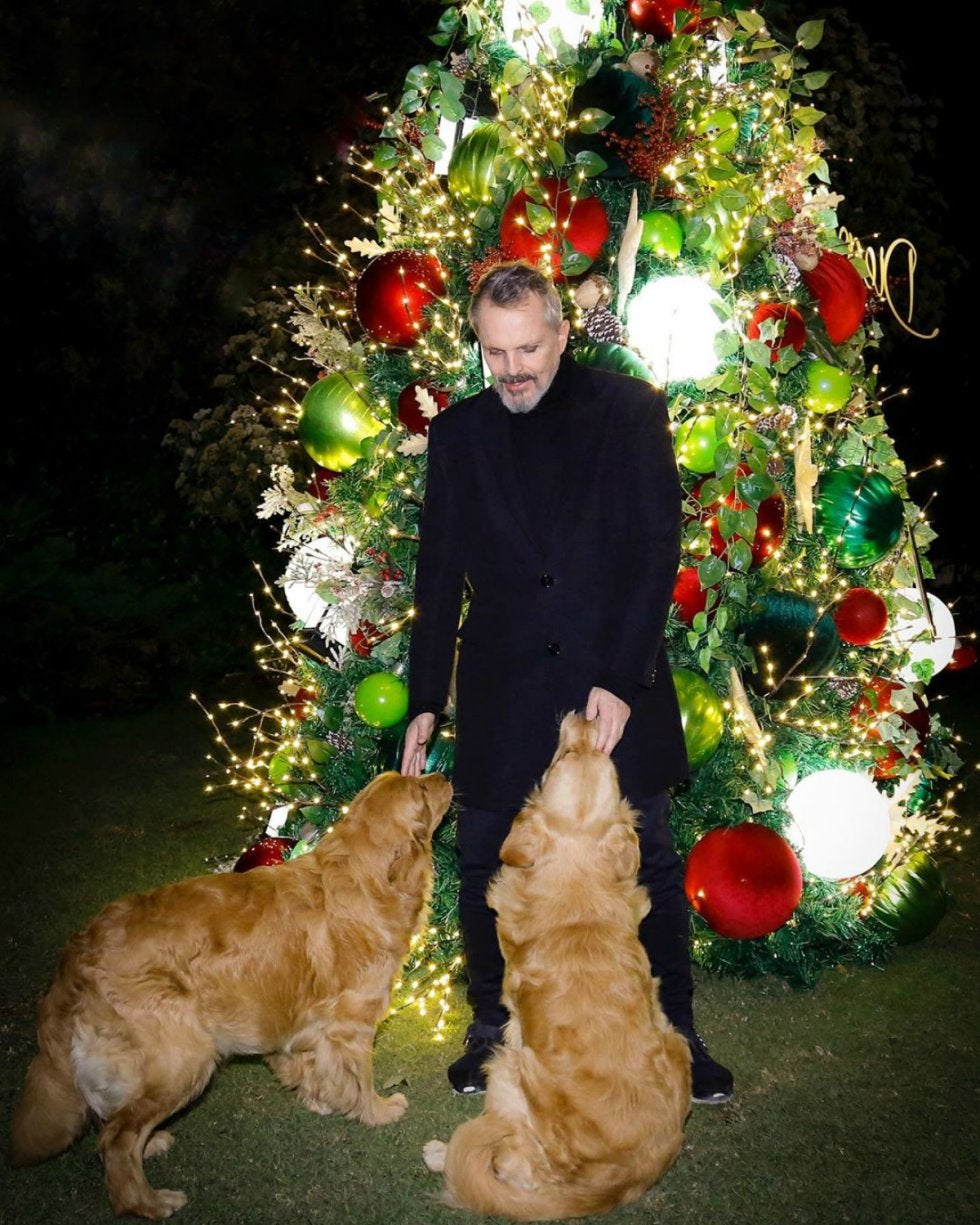 Miguel Bosé, en su jardín con sus perros.