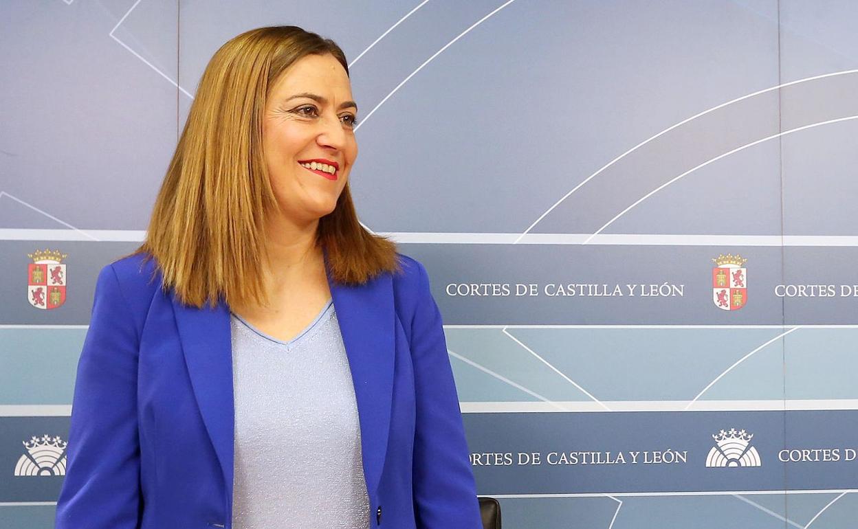 La vicesecretaria general del PSOECyL y viceportavoz socialista en las Cortes, Virginia Barcones, celebra una rueda de prensa sobre despoblación y ordenación del territorio en Castilla y León.