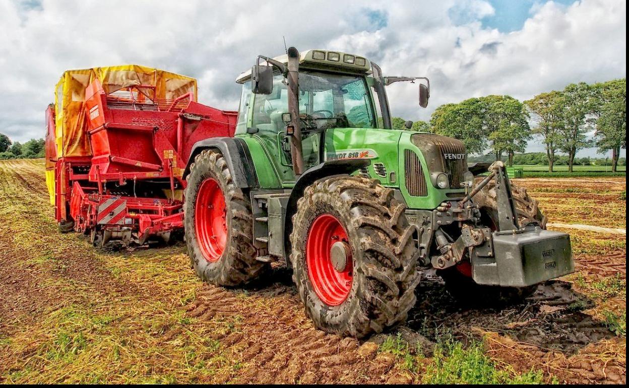 Agricutlura y sector servicios se han convertido en los principales motores del empleo.