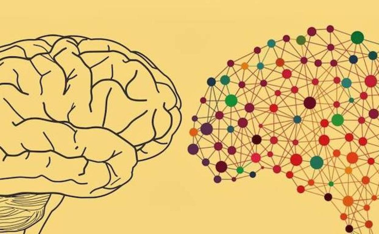 La ULE convoca los premios del Consejo Social a la Innovación en la Enseñanza