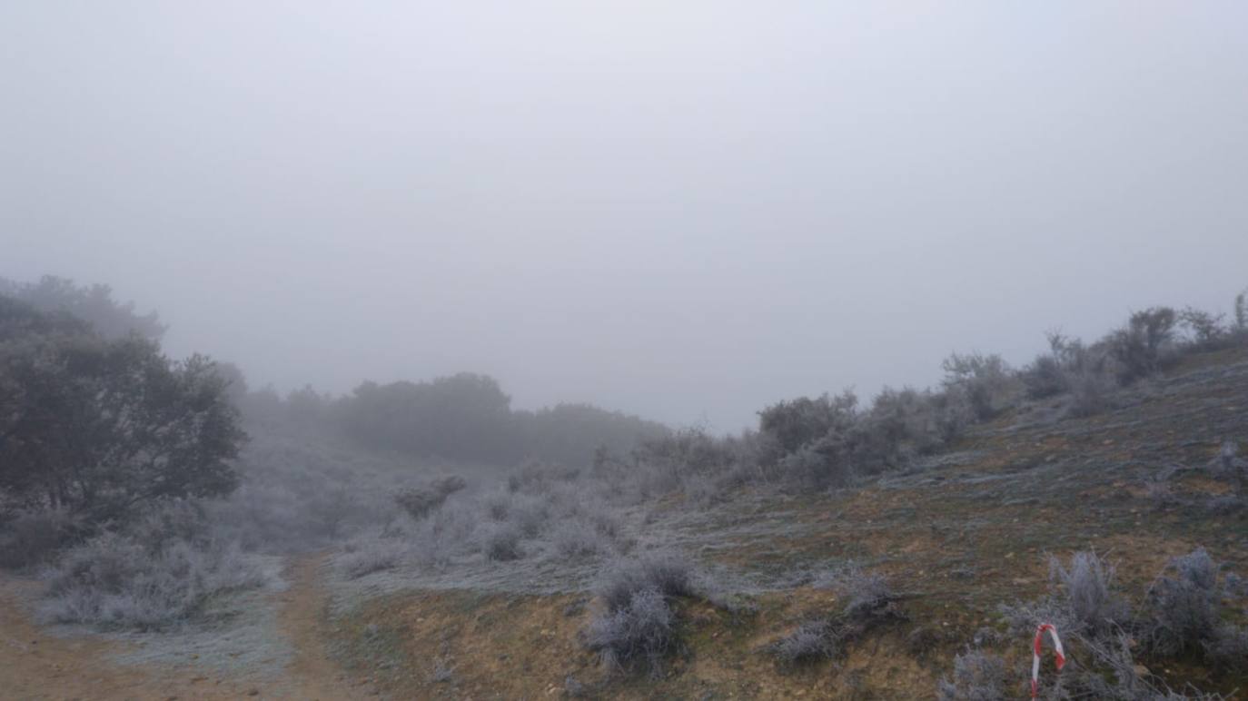 Fotos: La niebla &#039;ciega&#039; la provincia leonesa