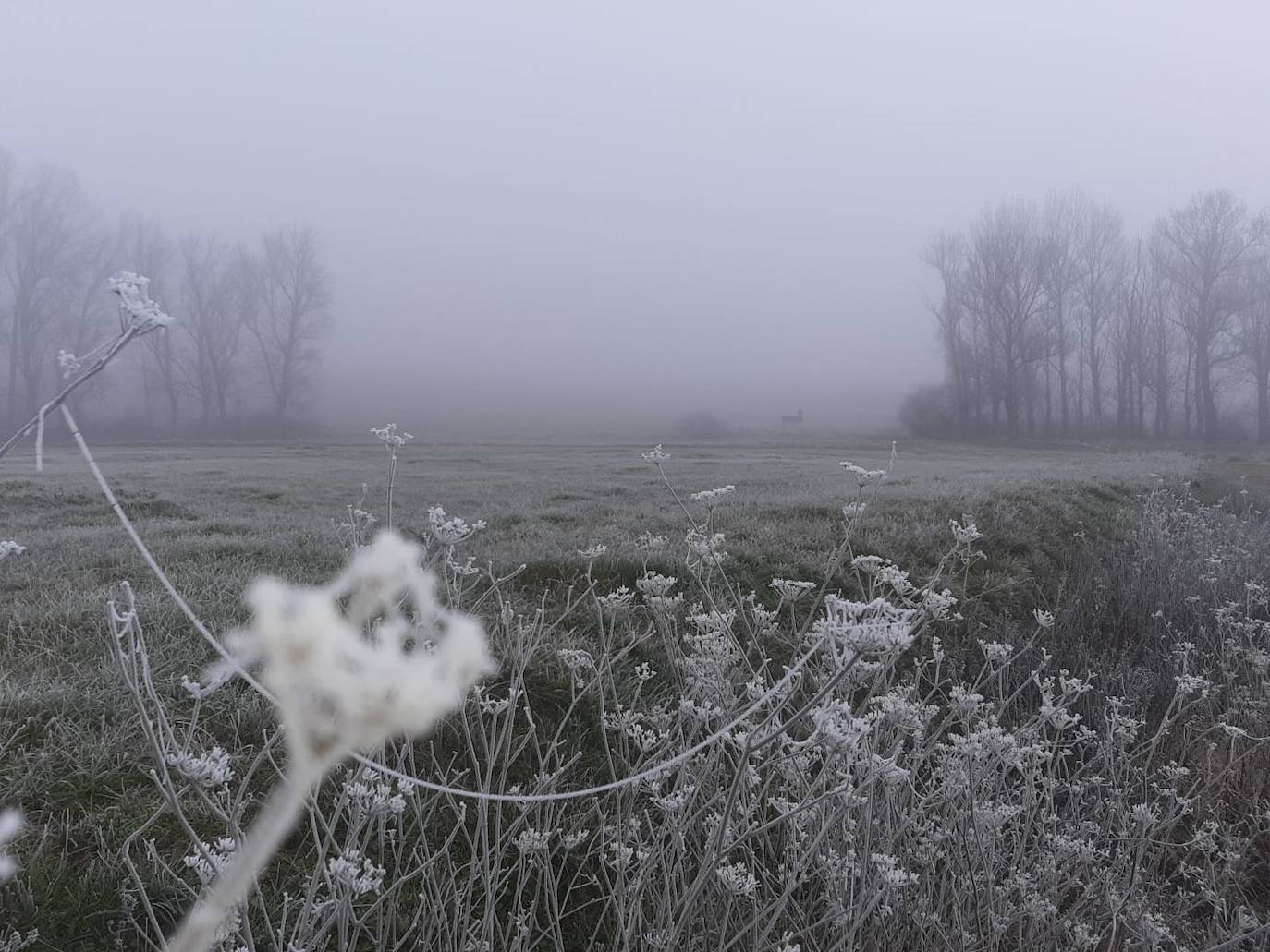 Fotos: La niebla &#039;ciega&#039; la provincia leonesa