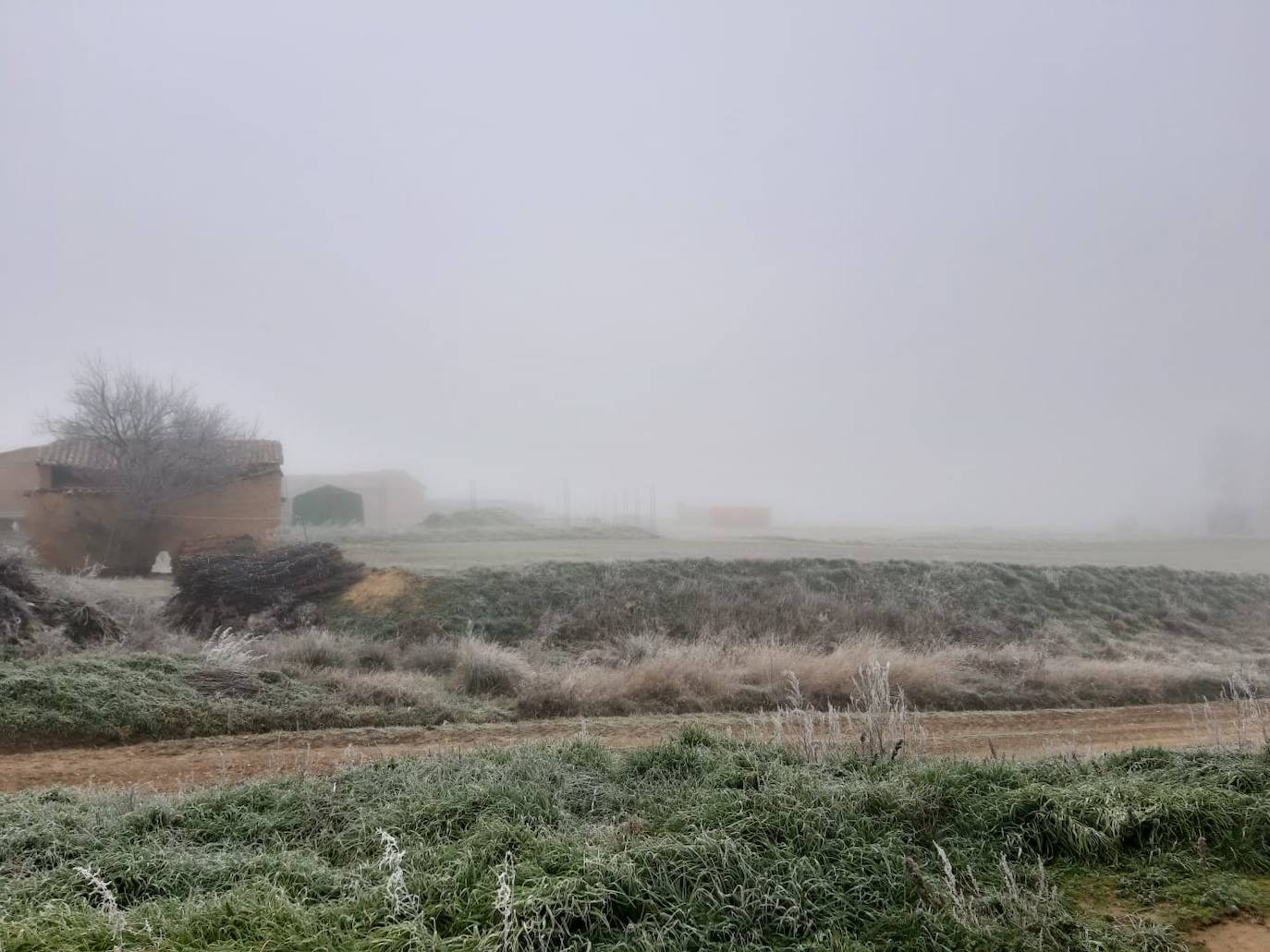 Fotos: La niebla &#039;ciega&#039; la provincia leonesa