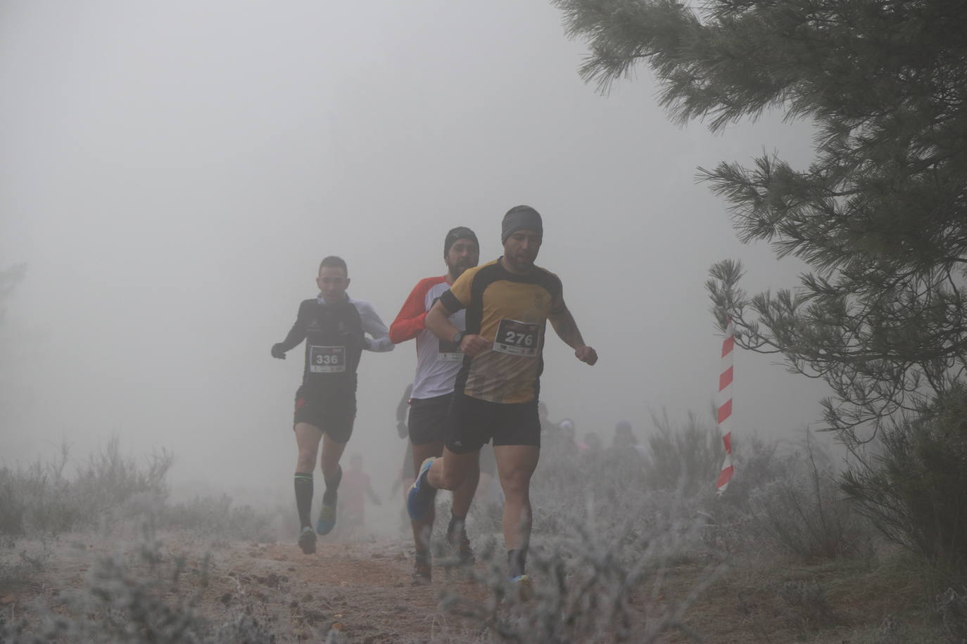 Fotos: Las imágenes de la Transcandamia