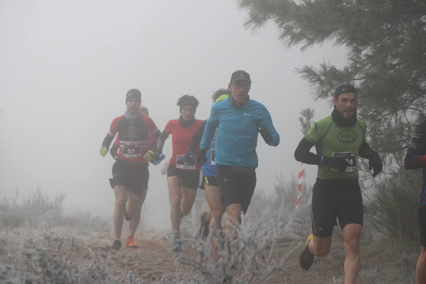 Fotos: Las imágenes de la Transcandamia